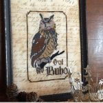 The Owl - Primitive Hare