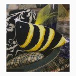 BEE - Chubby Little Winged Friend - Amy Bruecken Designs
