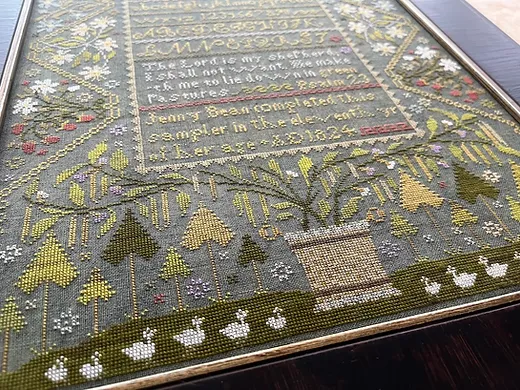 Jenny's Bean Garden, The Green Bean Sampler - Shakespeare's Peddler - Image 2