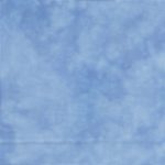 Forget-Me-Not Evenweave, Fat Quarter - Atomic Ranch