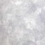 Vapors Evenweave, Fat Quarter - Atomic Ranch