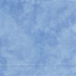 Forget-Me-Not Aida, Fat Quarter - Atomic Ranch