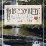 Introverted - Silver Creek Samplers